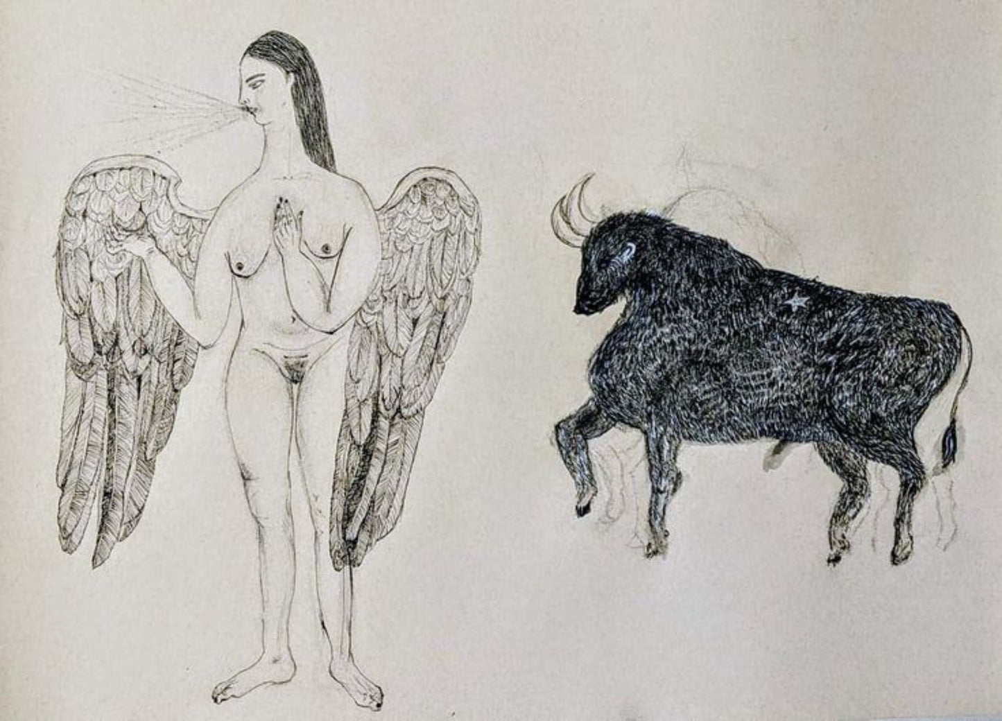 The Opposites Attract